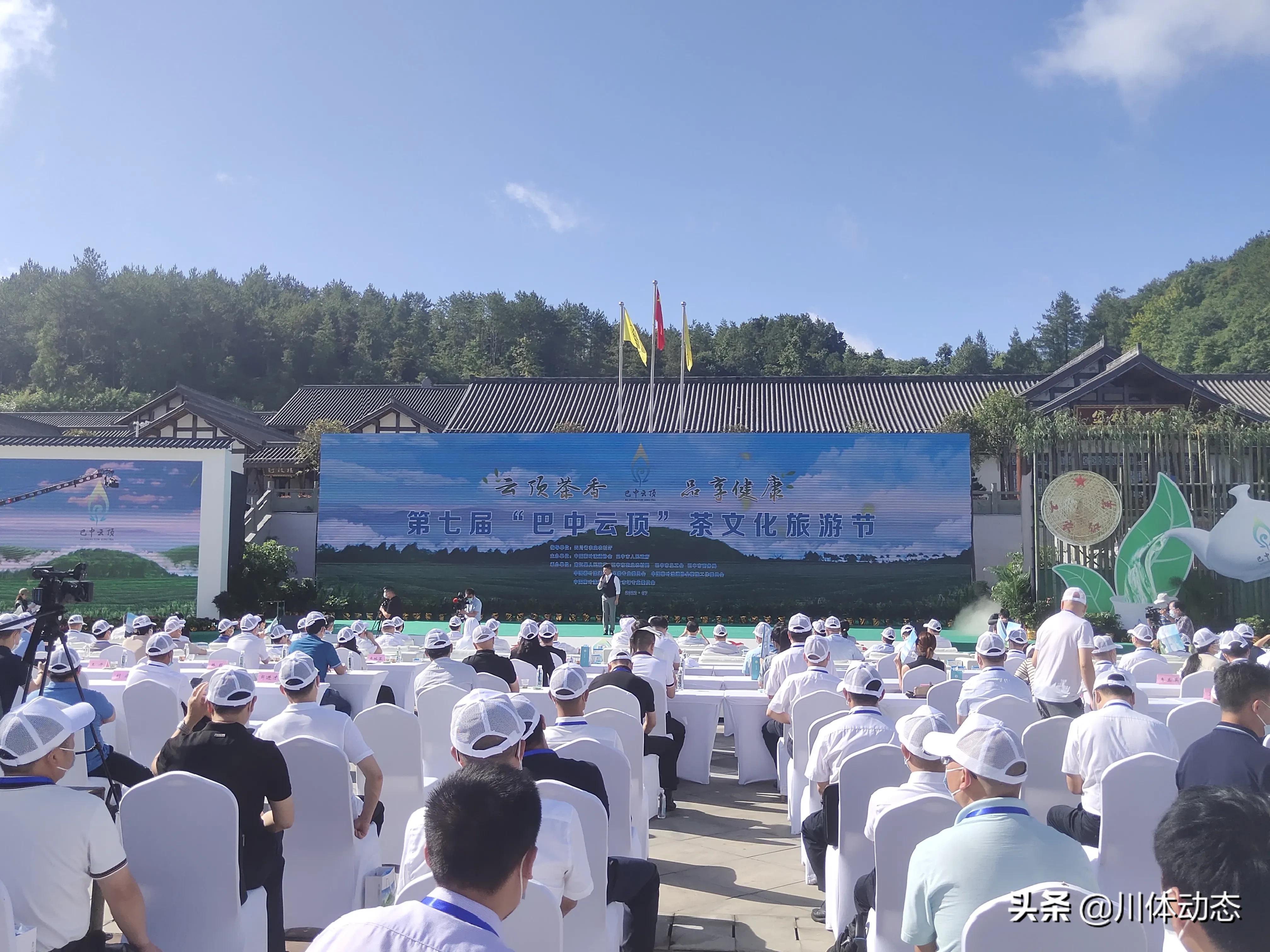 川东北富硒茶产业带(川茶的三大产区)-硒宝网