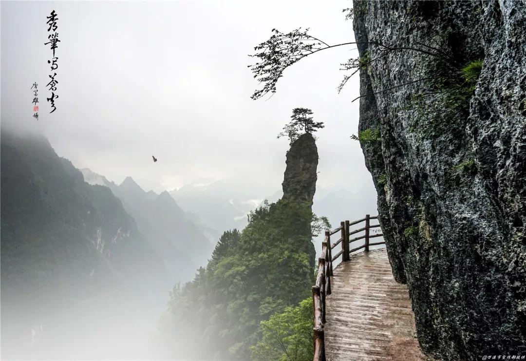 万源富硒茶地理标志(富硒地理标志产地)-硒宝网