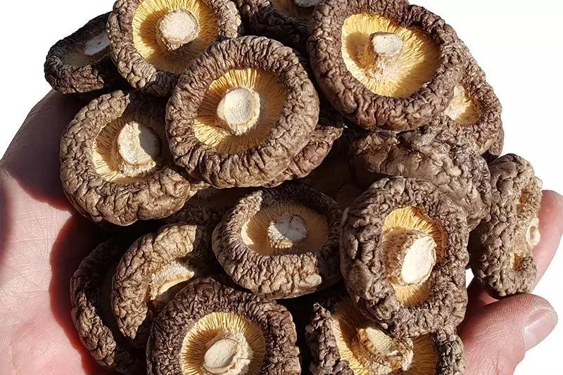 万源富硒茶地理标志(富硒地理标志产地)-硒宝网