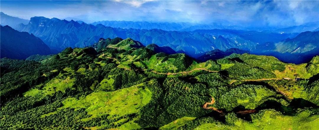 万源富硒茶地理标志(富硒地理标志产地)-硒宝网