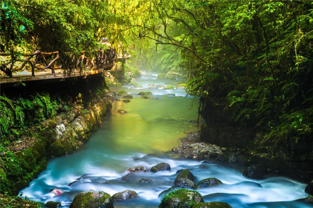 万源富硒茶地理标志(富硒地理标志产地)-硒宝网