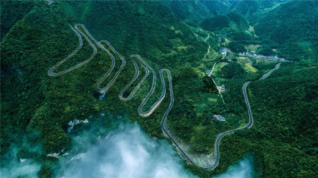 万源富硒茶地理标志(富硒地理标志产地)-硒宝网