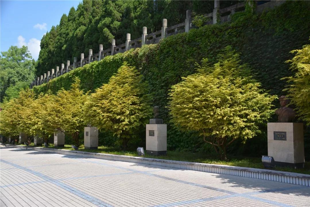 万源富硒茶地理标志(富硒地理标志产地)-硒宝网