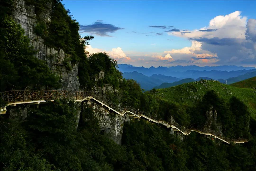 万源富硒茶地理标志(富硒地理标志产地)-硒宝网
