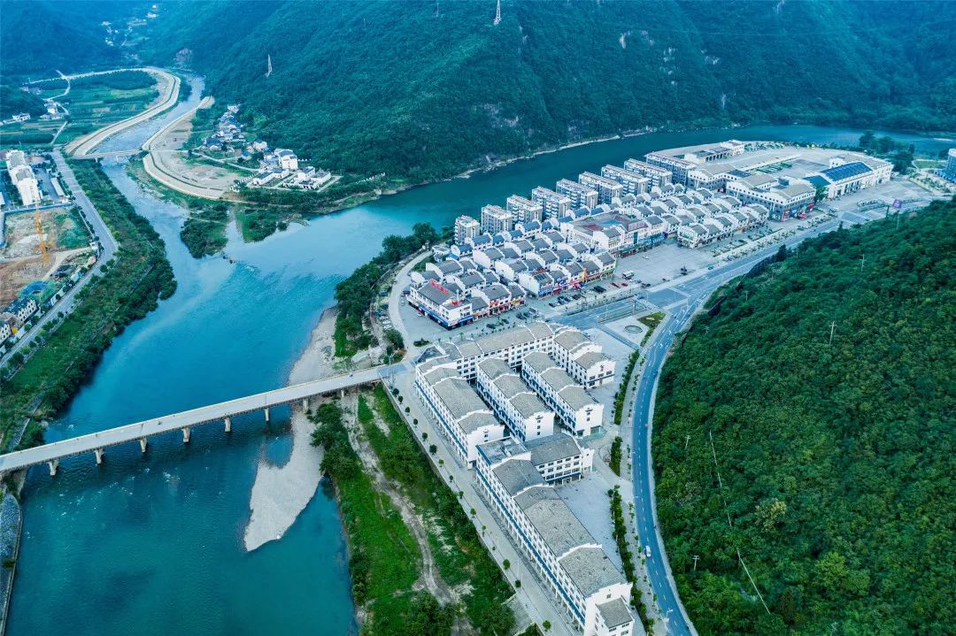 安徽仙寓山富硒野茶（安徽高山野茶）-硒宝网