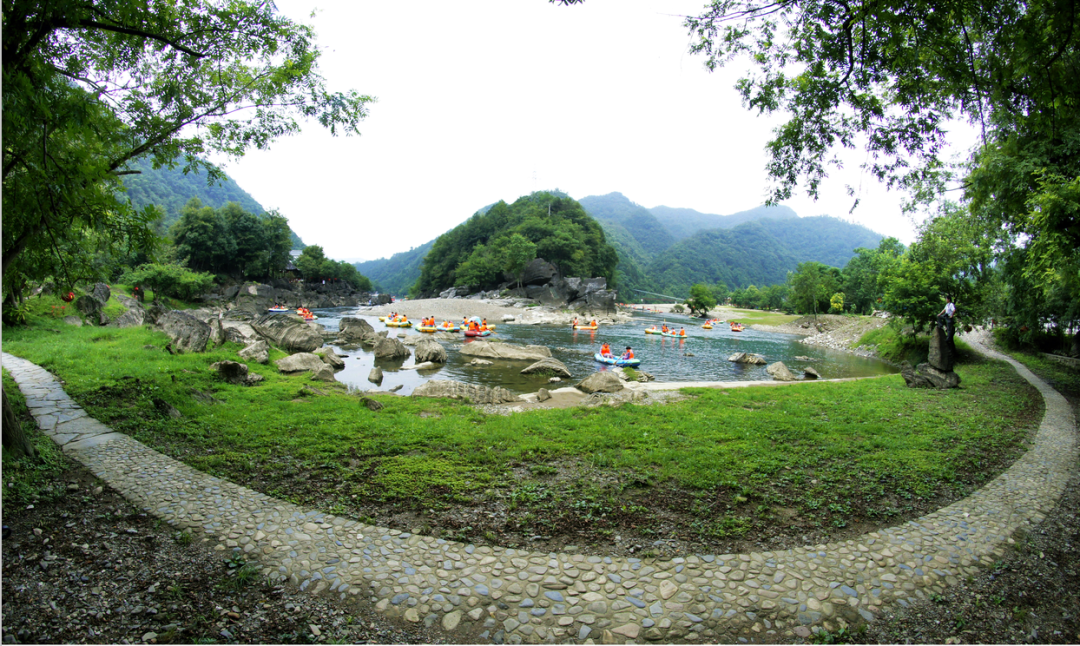 安徽仙寓山富硒野茶（安徽高山野茶）-硒宝网