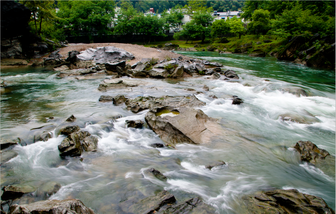 安徽仙寓山富硒野茶（安徽高山野茶）-硒宝网