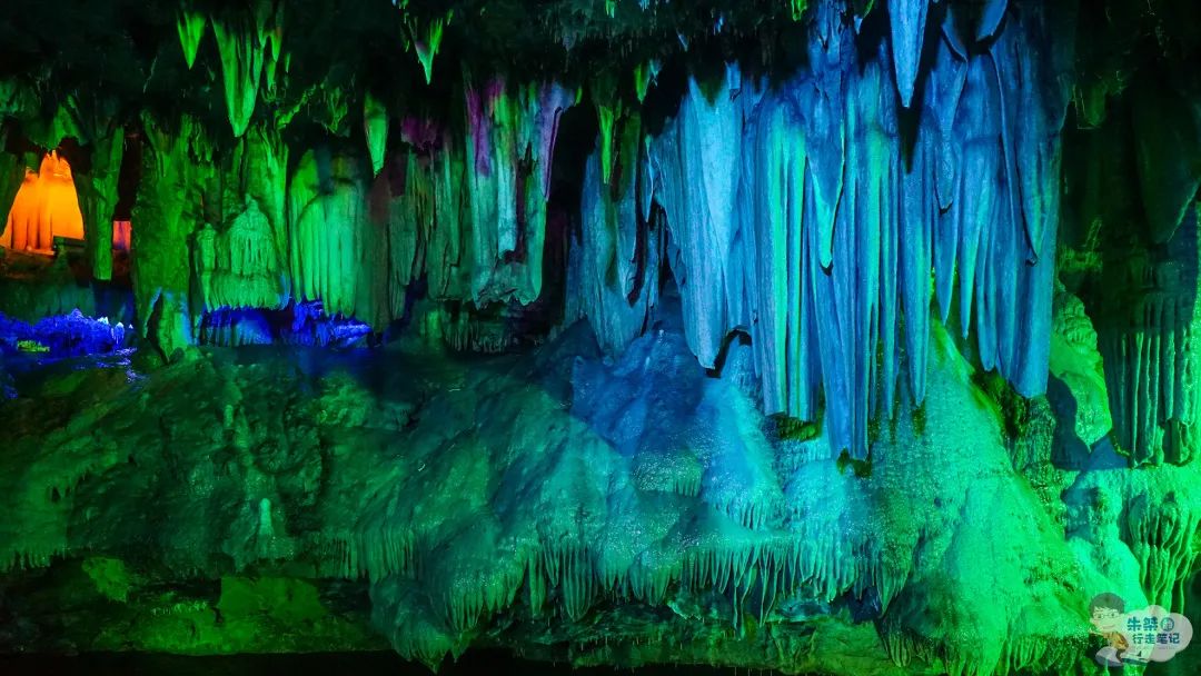 安徽仙寓山富硒野茶（安徽高山野茶）-硒宝网