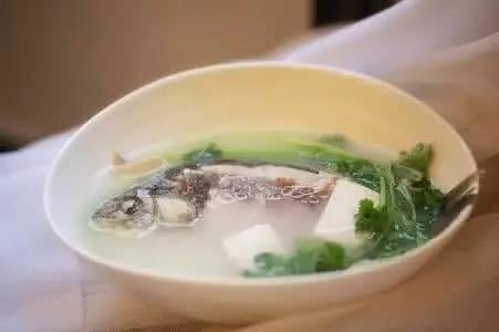 吃什么鱼补钙最好(补钙吃啥鱼)-硒宝网