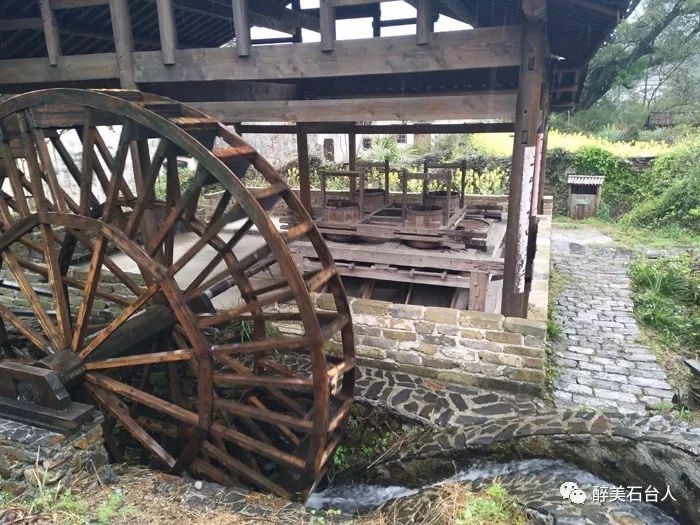 石台县大山村富硒茶（石台县富硒野茶）-硒宝网