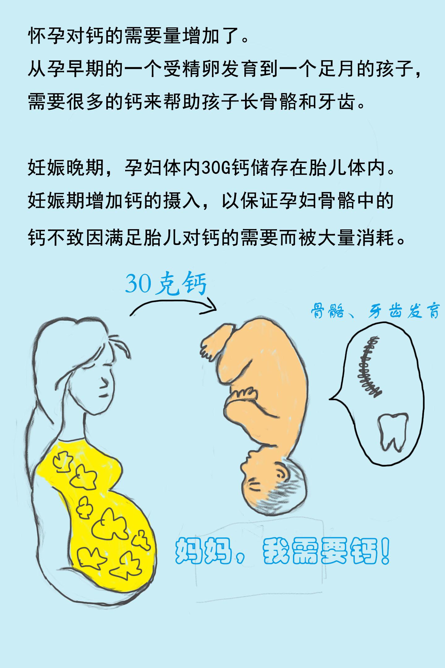 怀孕补钙的最佳时间(怀孕期补钙的最佳时期)-硒宝网