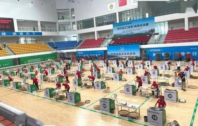 浙江省哪里产富硒茶（中国富硒茶产地）-硒宝网