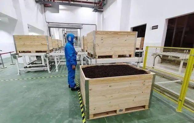 浙江省哪里产富硒茶（中国富硒茶产地）-硒宝网