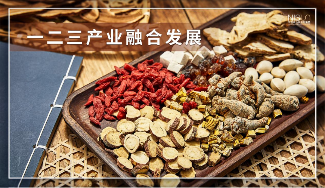 福建富硒八仙茶供应(福建八仙茶多少钱一斤)-硒宝网