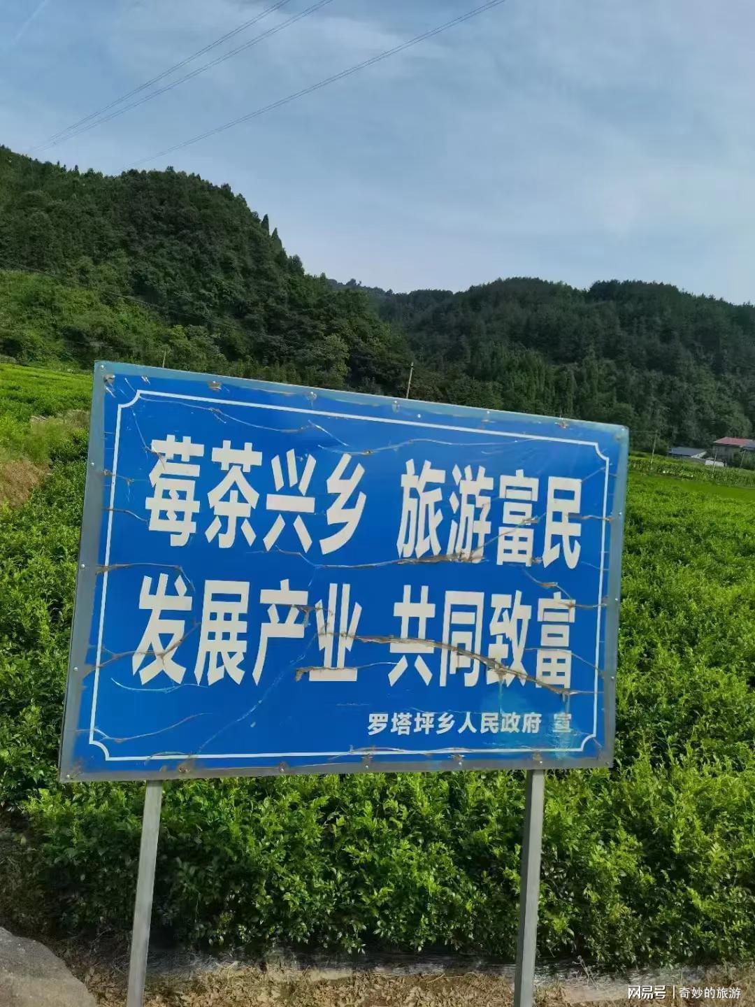 楚家台富硒莓茶价格（湖北楚茶有限公司）-硒宝网