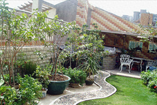 富硒黑苦荞茶加枸杞(枸杞茶黑苦荞加富硒的功效)-硒宝网