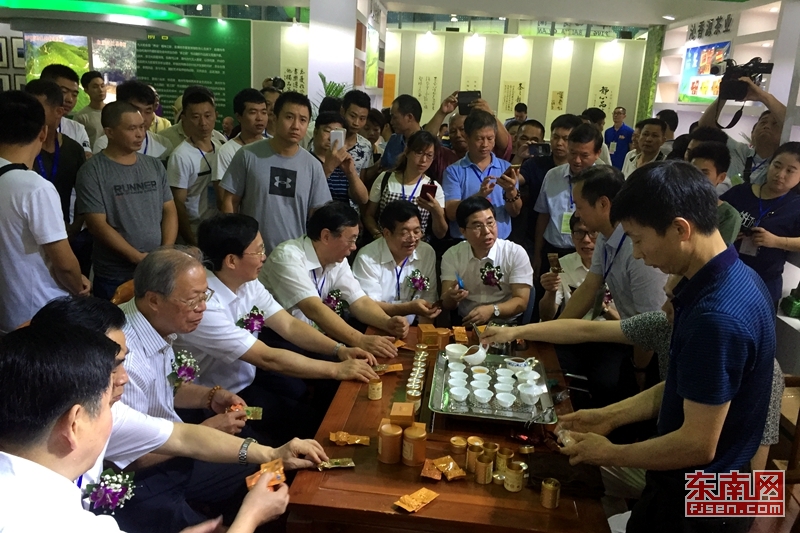 台湾富硒八仙茶批发(福建八仙茶多少钱一斤)-硒宝网