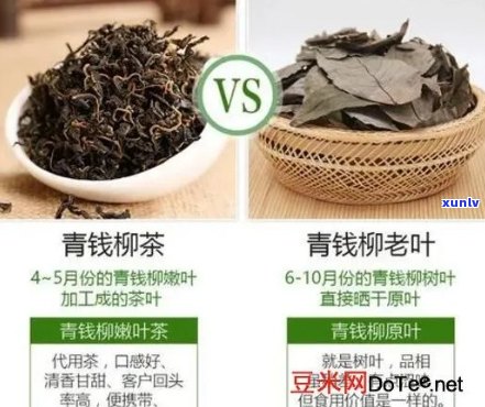 富硒青钱柳黄精茶珍（富硒青钱柳黄精茶珍）-硒宝网