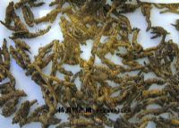 万源富硒茶种植面积(万源市茶叶种植面积)-硒宝网