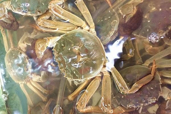 50岁以后怎样补钙最好(补钙以后身体会有什么变化)-硒宝网