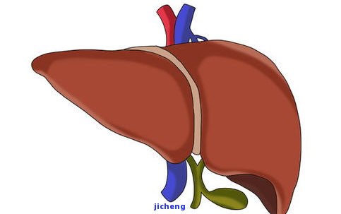 天津富硒八仙茶加工(八仙山富硒红茶)-硒宝网