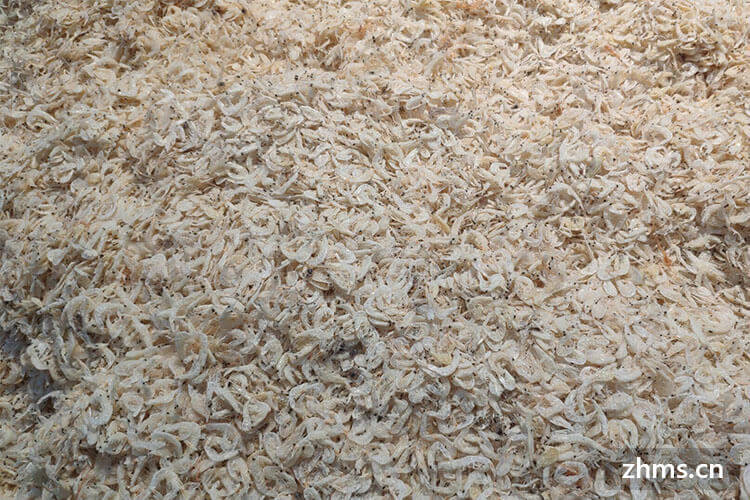 鱼补钙吗(补钙鱼肝油)-硒宝网