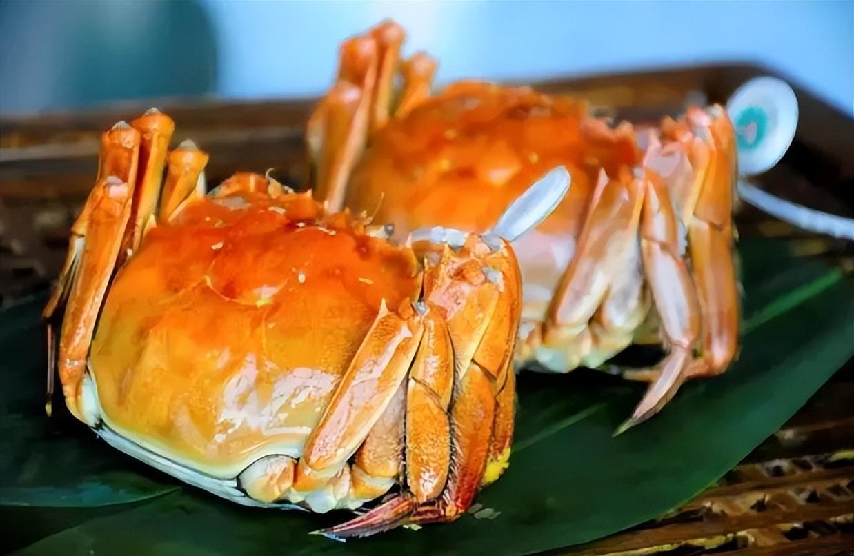 50岁以后怎样补钙最好(补钙好么)-硒宝网