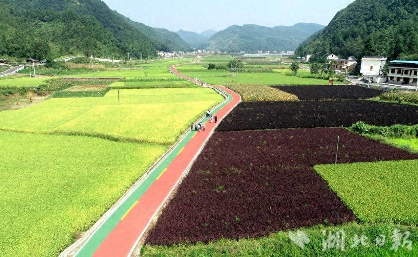 中国两大富硒茶产地（富硒茶产业）-硒宝网
