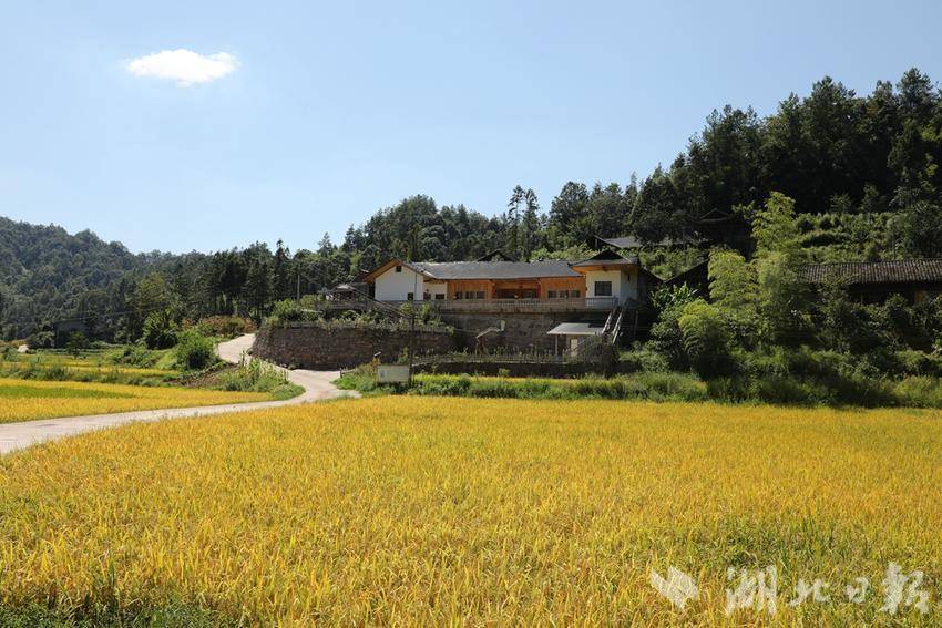 中国两大富硒茶产地（富硒茶产业）-硒宝网