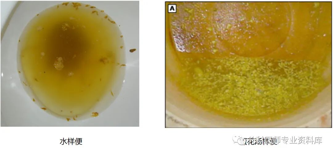 小孩子补锌吃哪个牌子的比较好（补锌给孩子补锌买什么牌子的好）-硒宝网