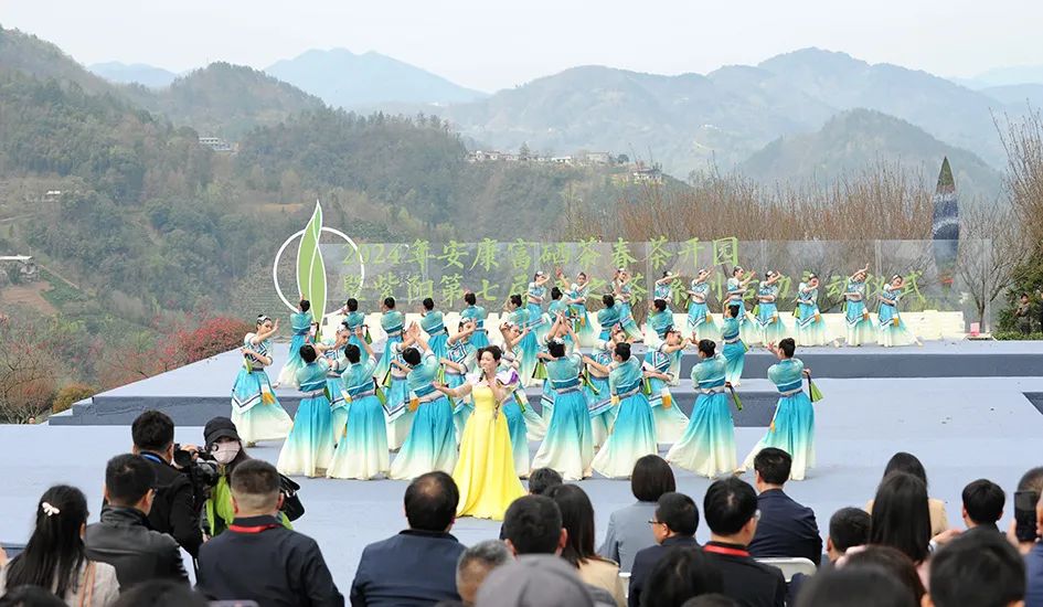 紫阳县哪里产富硒茶(紫阳富硒茶园)-硒宝网