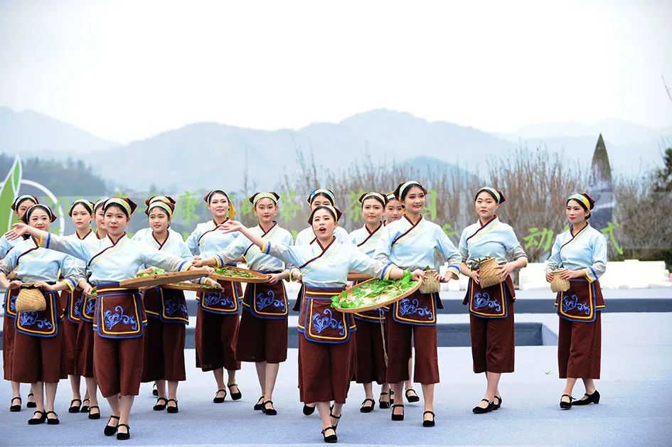 紫阳县哪里产富硒茶(紫阳富硒茶园)-硒宝网