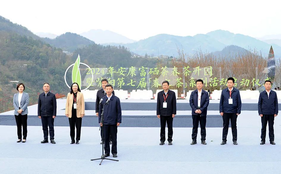 紫阳县哪里产富硒茶(紫阳富硒茶园)-硒宝网