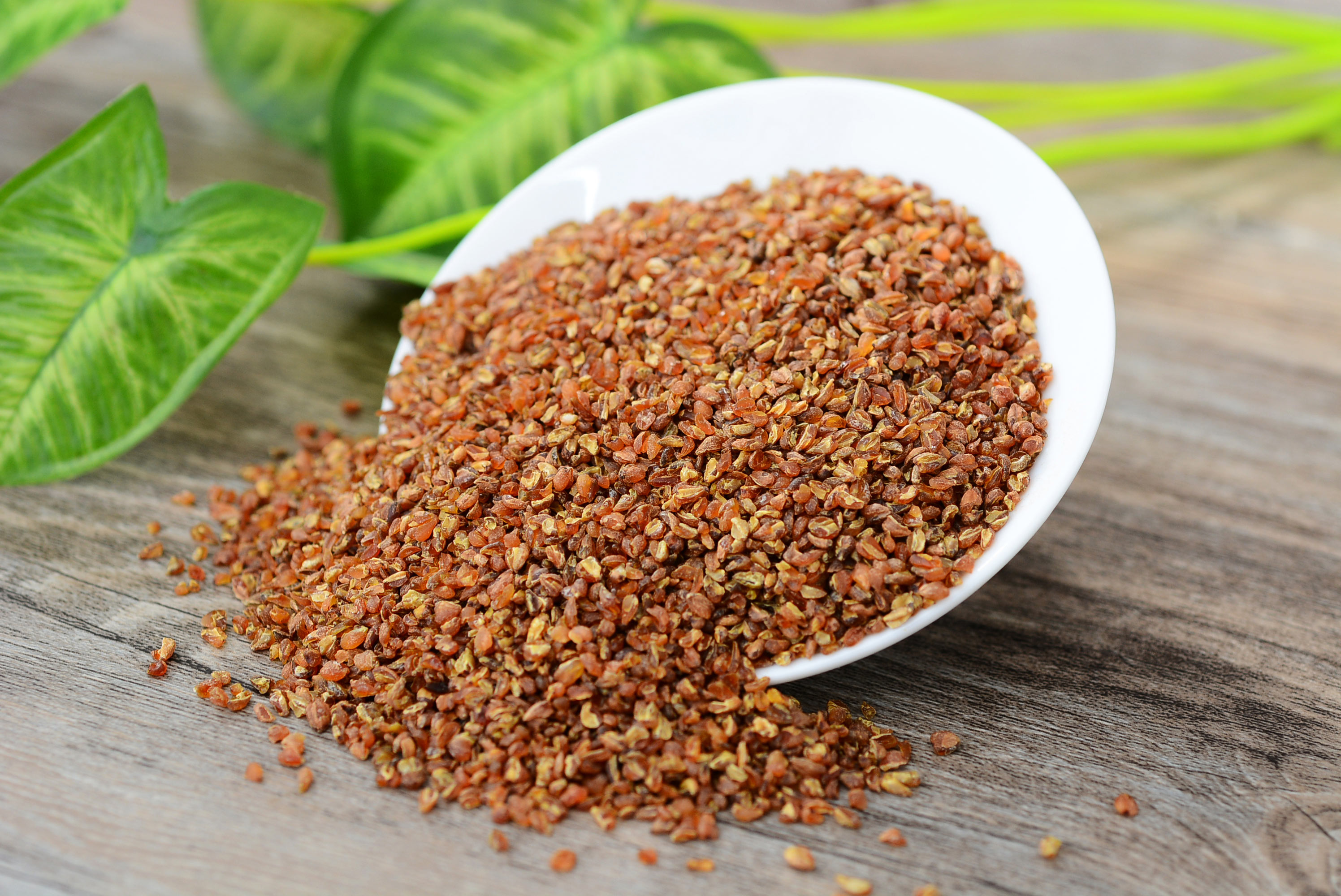 虚寒者喝富硒荞子茶(硒荞子茶是苦荞茶吗)-硒宝网