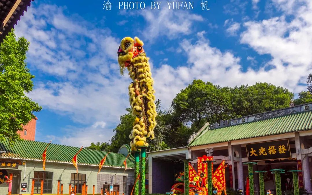 香港富硒八仙茶价格(富硒八仙茶介绍)-硒宝网