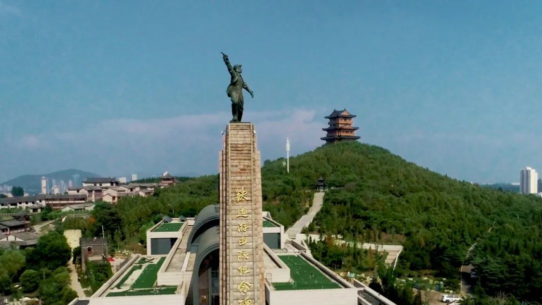 香港富硒八仙茶价格(富硒八仙茶介绍)-硒宝网