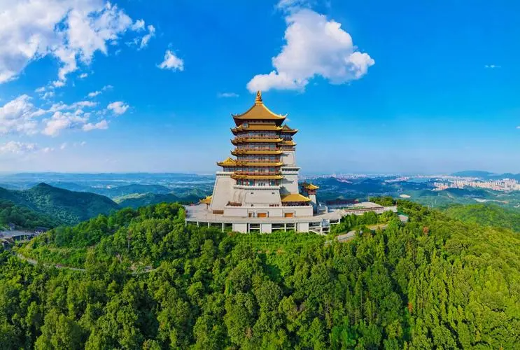 香港富硒八仙茶价格(富硒八仙茶介绍)-硒宝网