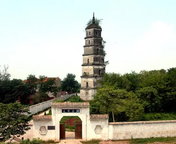 香港富硒八仙茶价格(富硒八仙茶介绍)-硒宝网