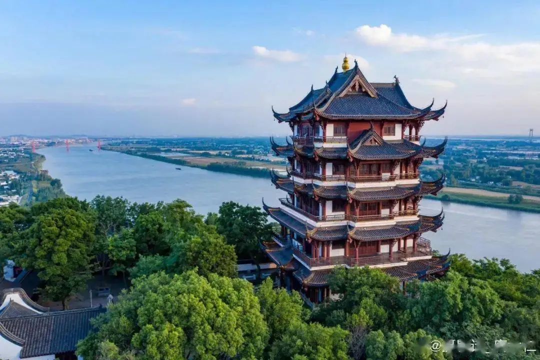 香港富硒八仙茶价格(富硒八仙茶介绍)-硒宝网