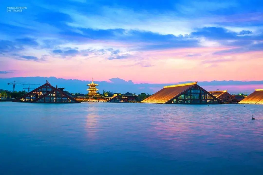 香港富硒八仙茶价格(富硒八仙茶介绍)-硒宝网