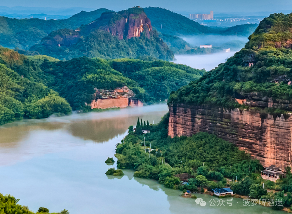 香港富硒八仙茶价格(富硒八仙茶介绍)-硒宝网
