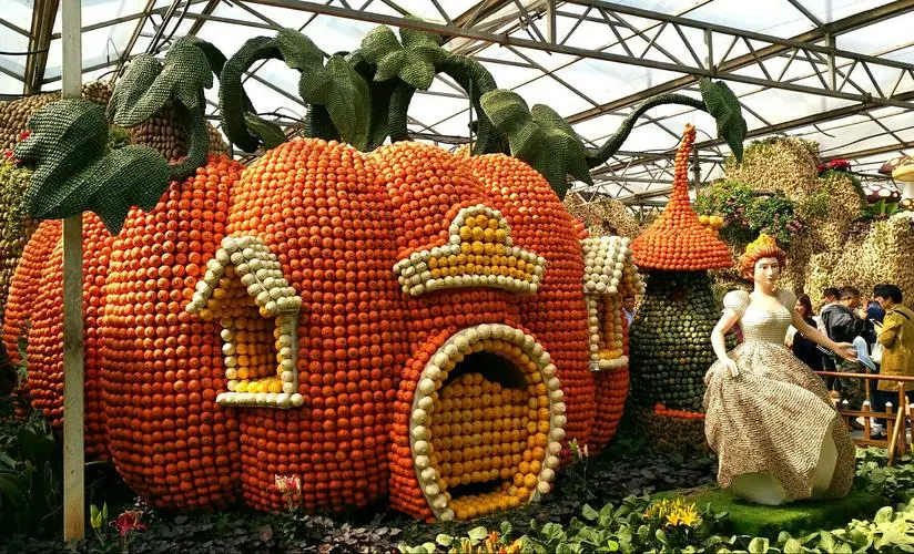 香港富硒八仙茶价格(富硒八仙茶介绍)-硒宝网