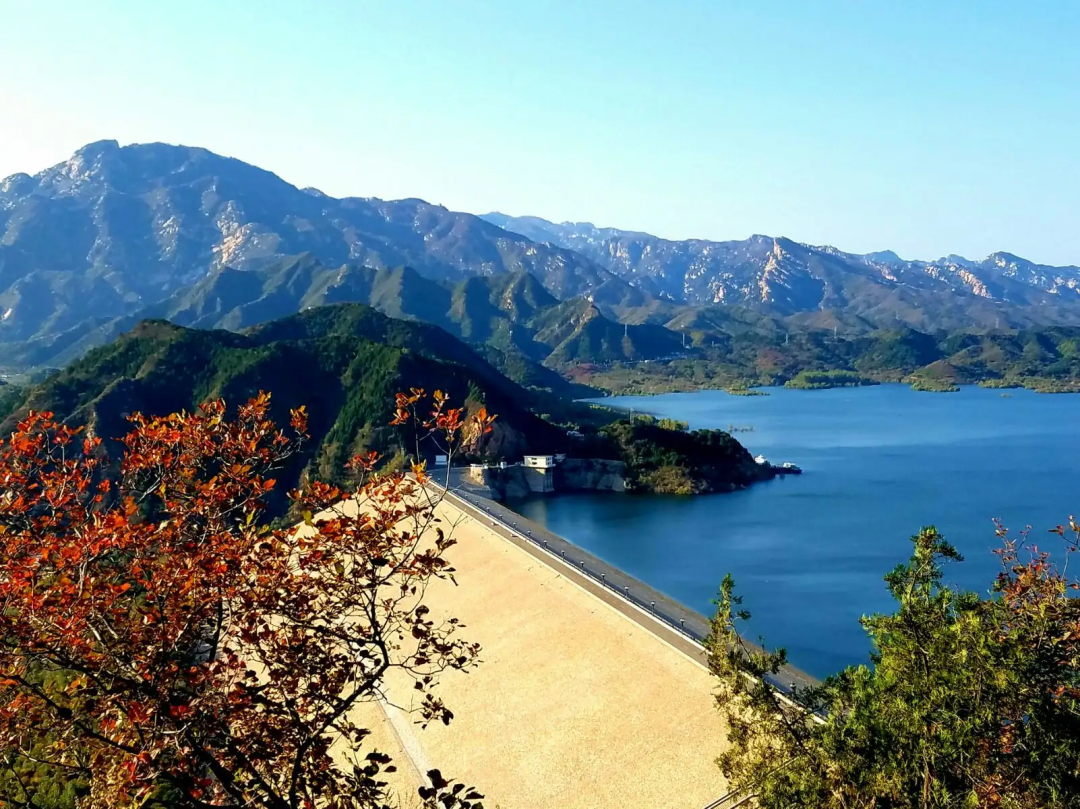 香港富硒八仙茶价格(富硒八仙茶介绍)-硒宝网