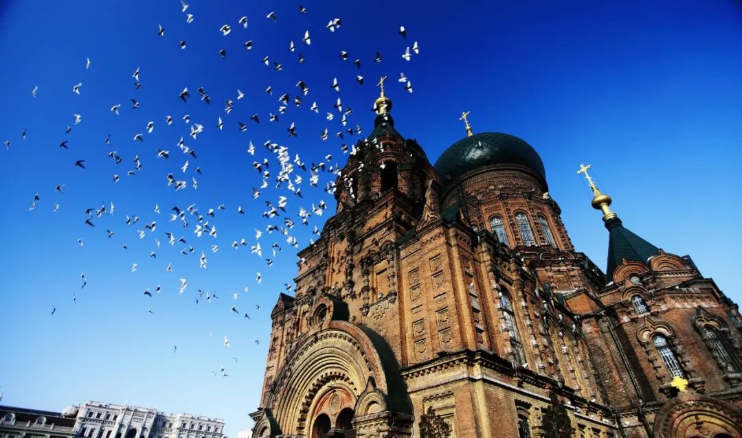 香港富硒八仙茶价格(富硒八仙茶介绍)-硒宝网