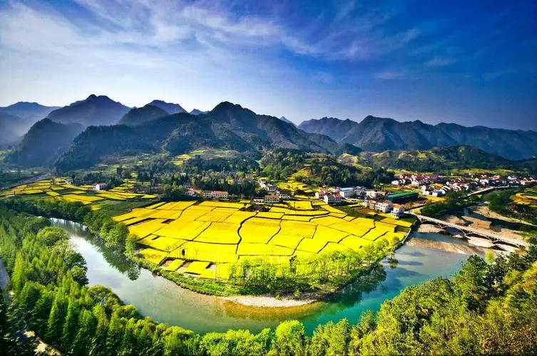 香港富硒八仙茶价格(富硒八仙茶介绍)-硒宝网