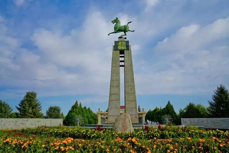 香港富硒八仙茶价格(富硒八仙茶介绍)-硒宝网