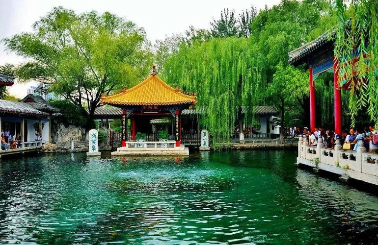 香港富硒八仙茶价格(富硒八仙茶介绍)-硒宝网