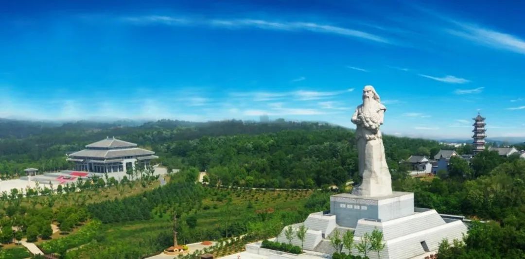 香港富硒八仙茶价格(富硒八仙茶介绍)-硒宝网