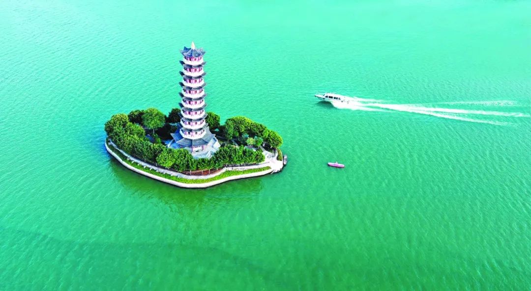 香港富硒八仙茶价格(富硒八仙茶介绍)-硒宝网