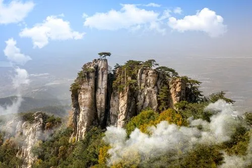 香港富硒八仙茶价格(富硒八仙茶介绍)-硒宝网